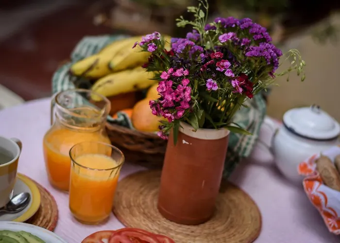 Machicado Farmhouse Bed & Breakfast