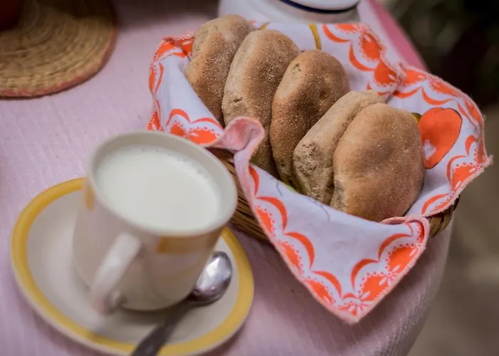 Machicado Farmhouse Bed & Breakfast